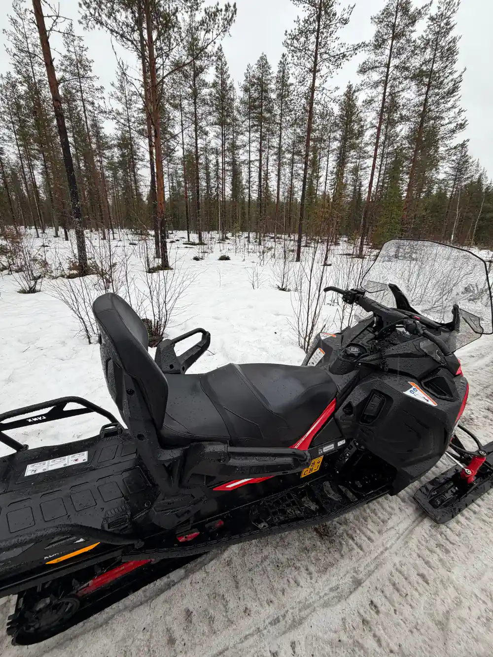 Black and red snowmobile parked in snowy forest