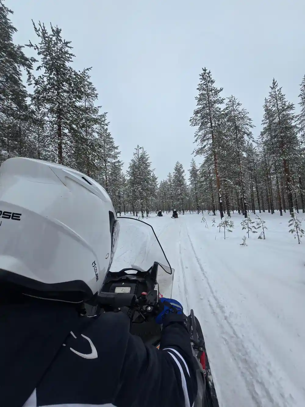 First-person snowmobile view through winter forest landscape