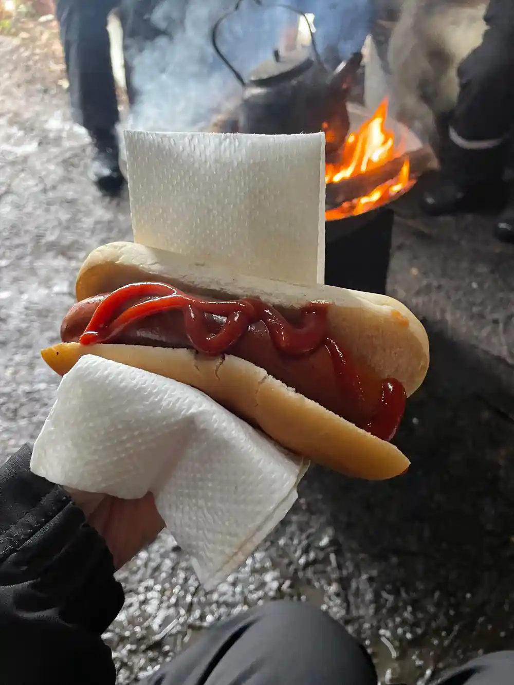 Hot dog with napkin held near campfire