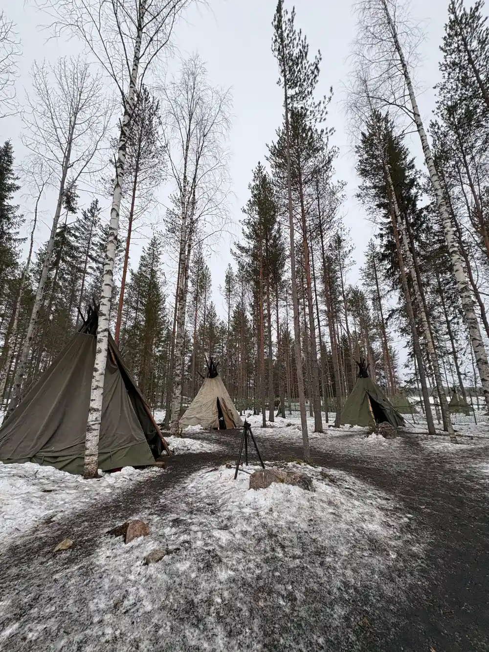 Multiple traditional tents in snowy forest clearing