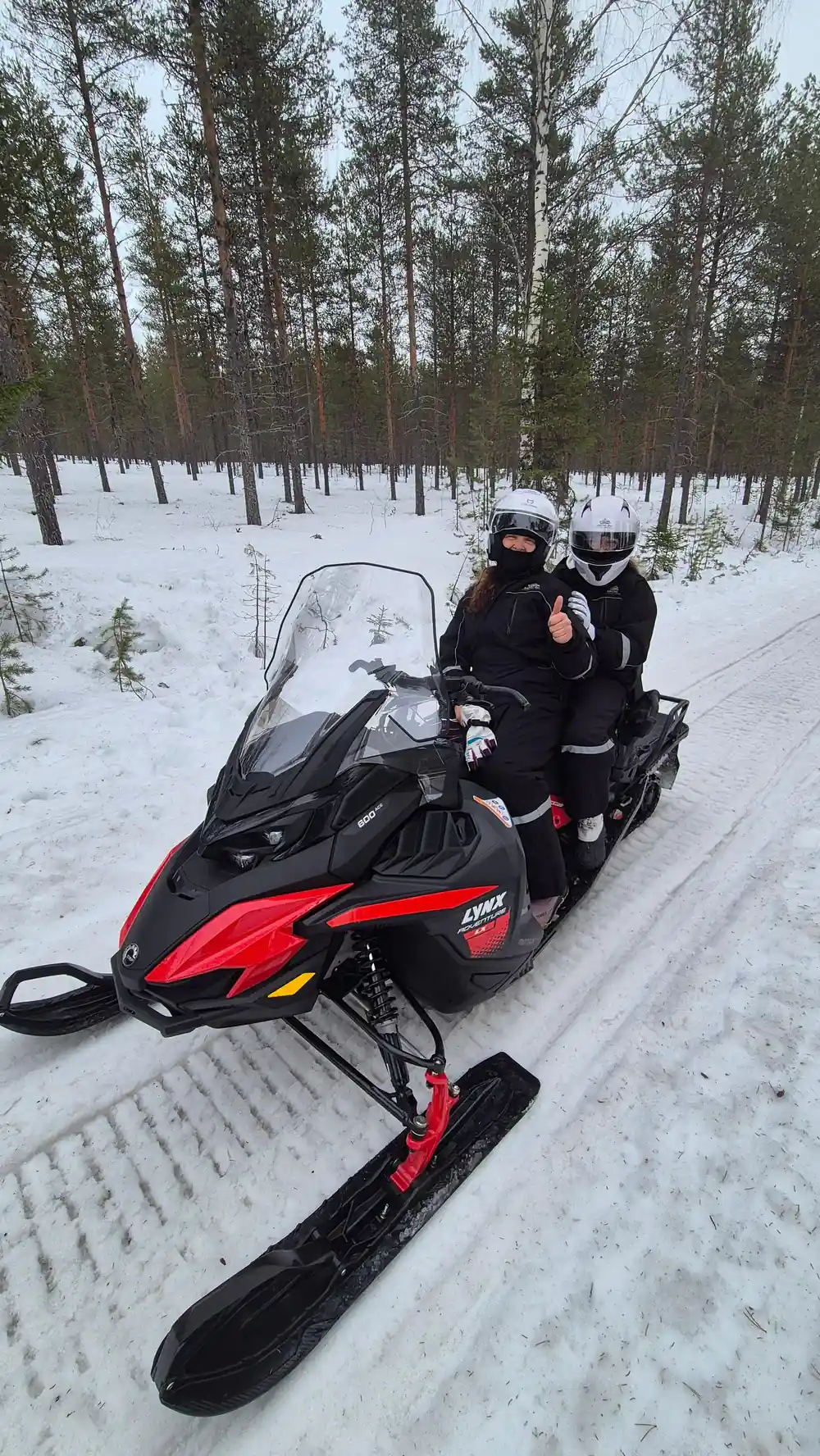 Person on red and black snowmobile in snowy forest