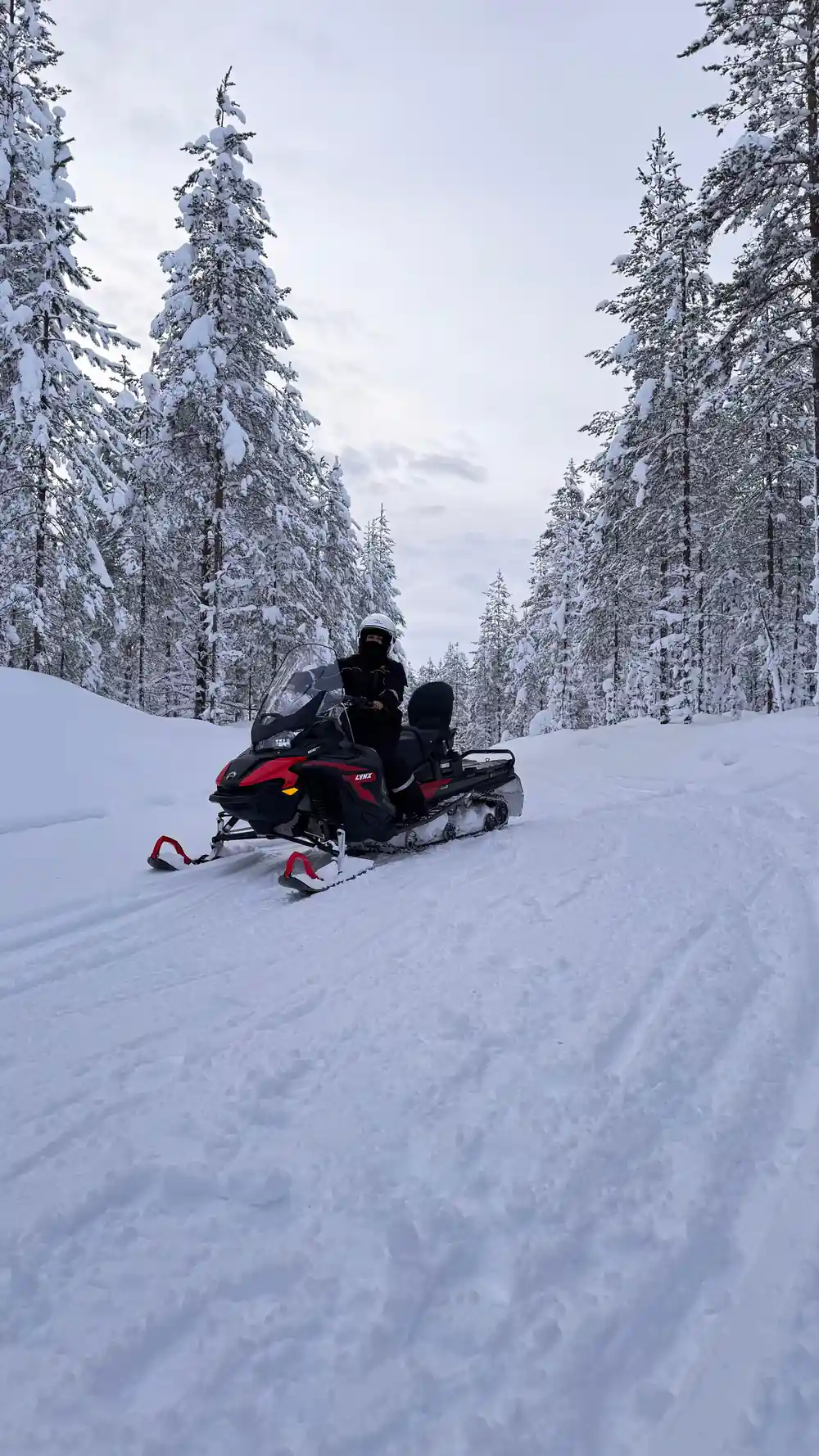 Person riding snowmobile through snowy forest path