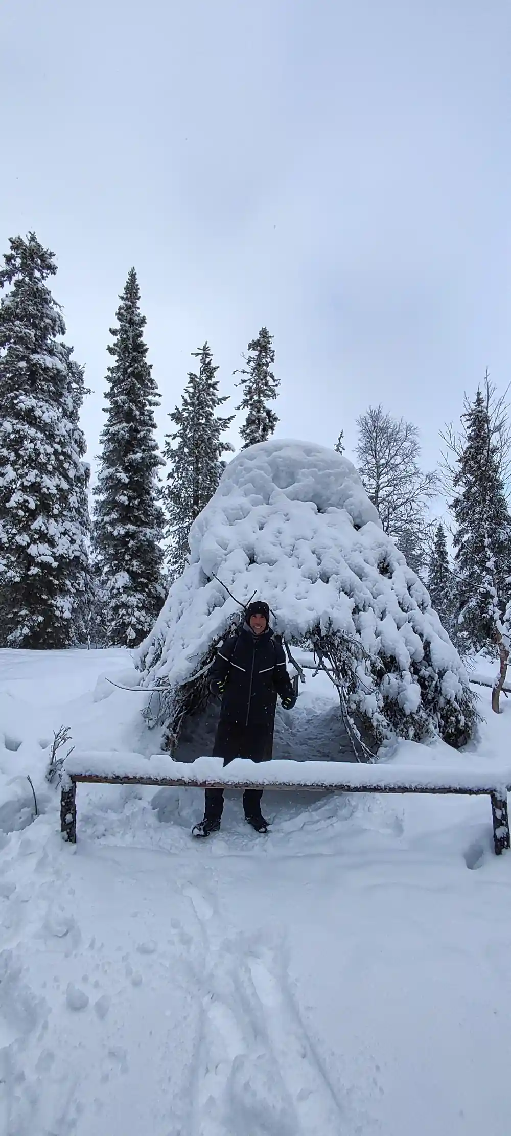 Person sitting on bench by snow-covered tree