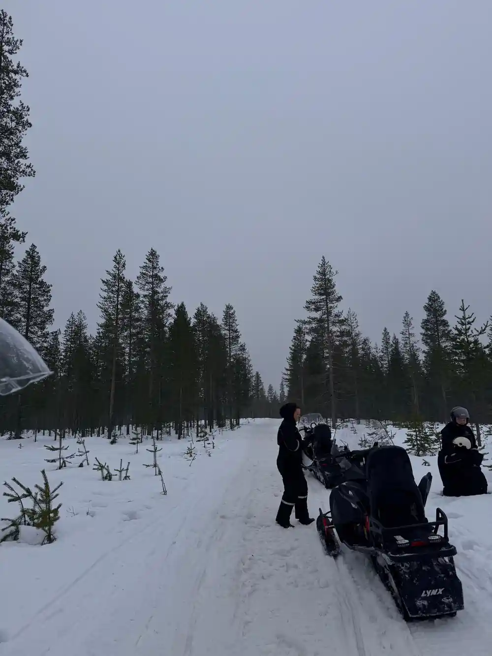Person on snowmobile on groomed trail through trees