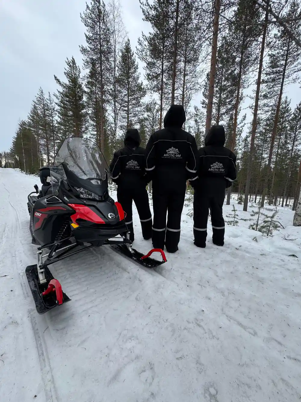 Red and black snowmobile parked in snowy forest