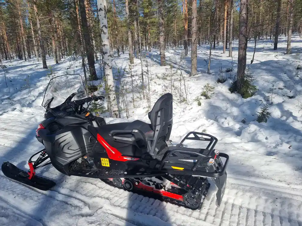 Red and black snowmobile parked in snowy pine forest