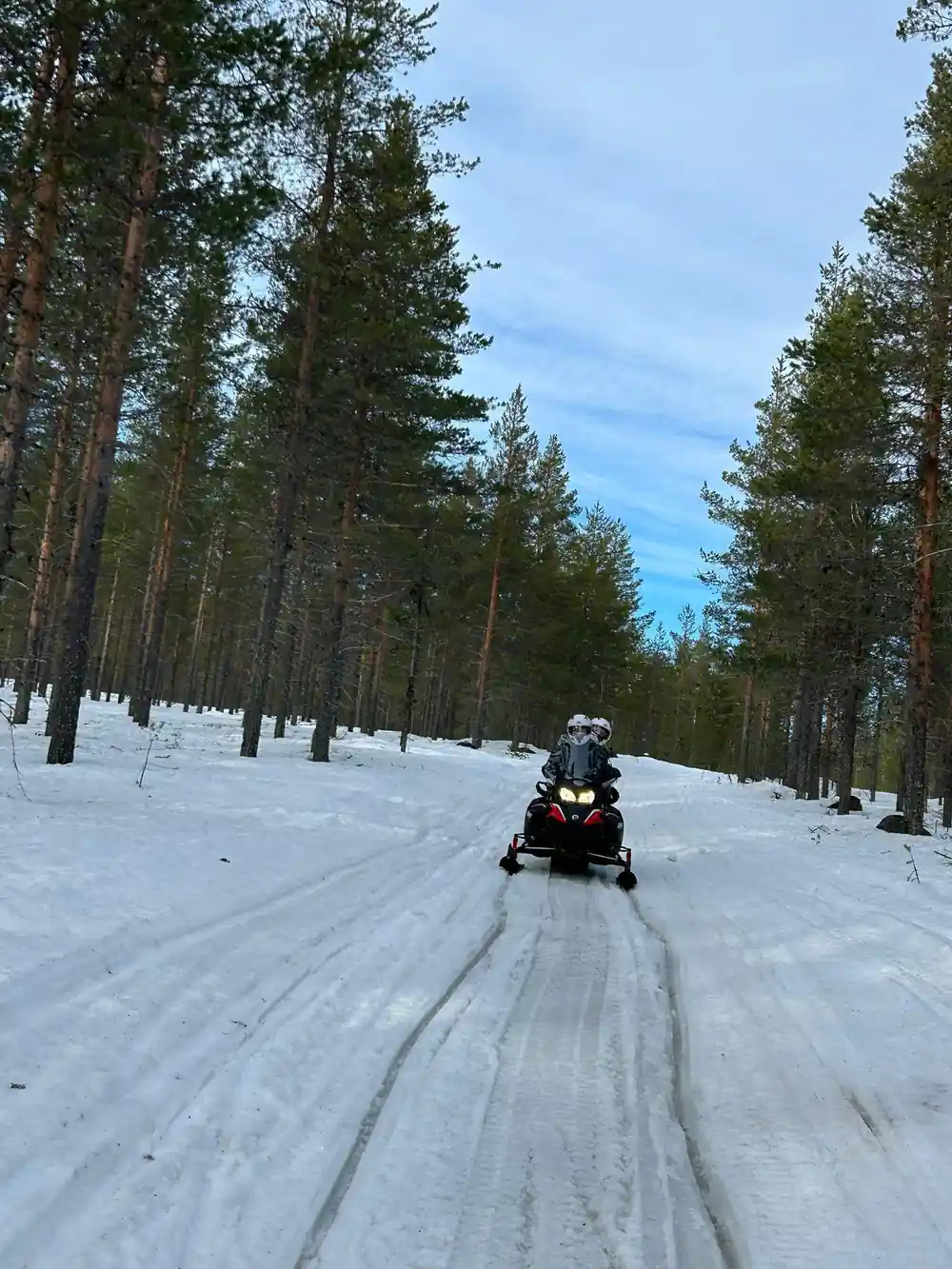 Single snowmobile rider on snowy forest trail