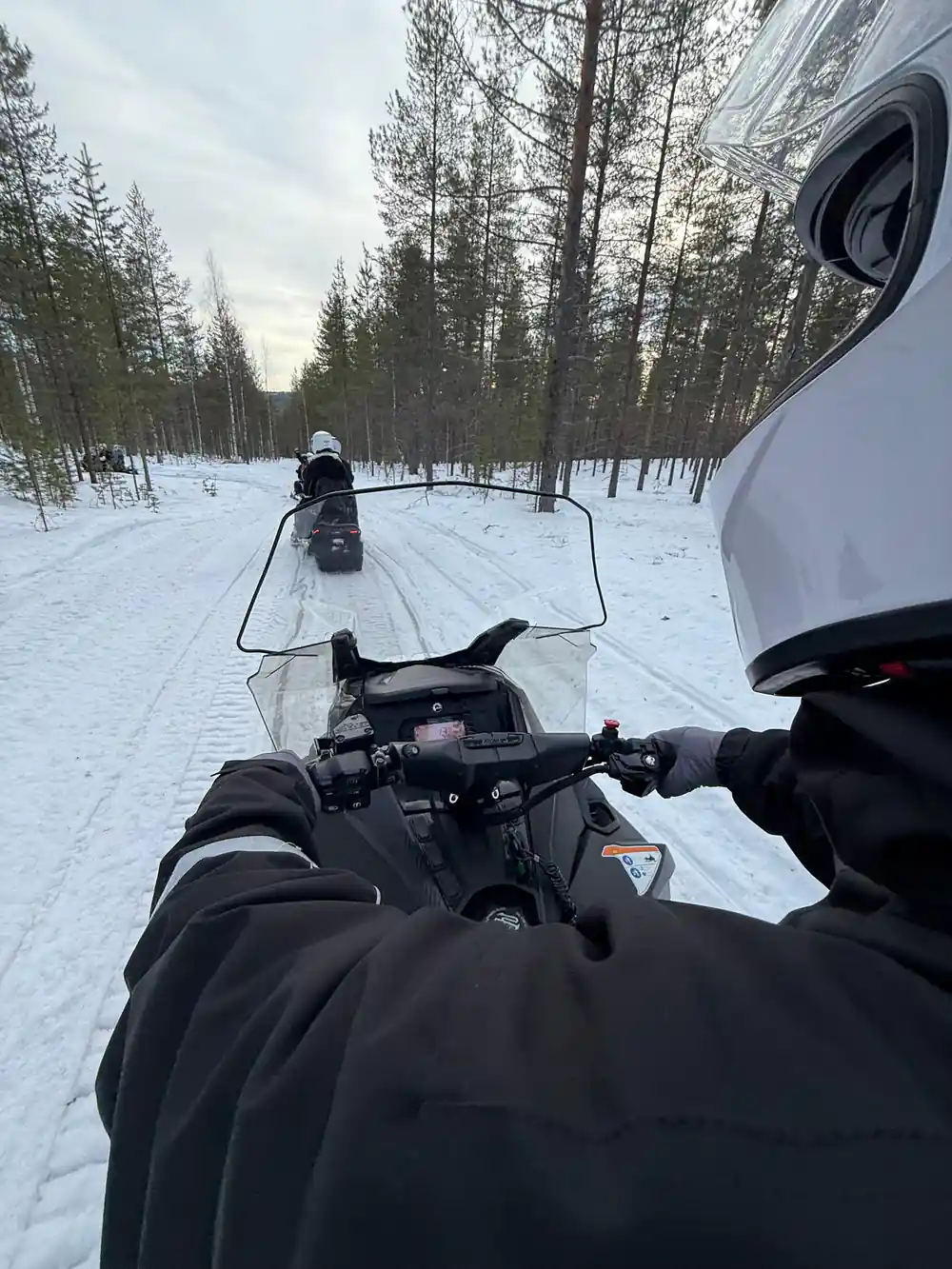 Snowmobile handlebars on snowy forest trail