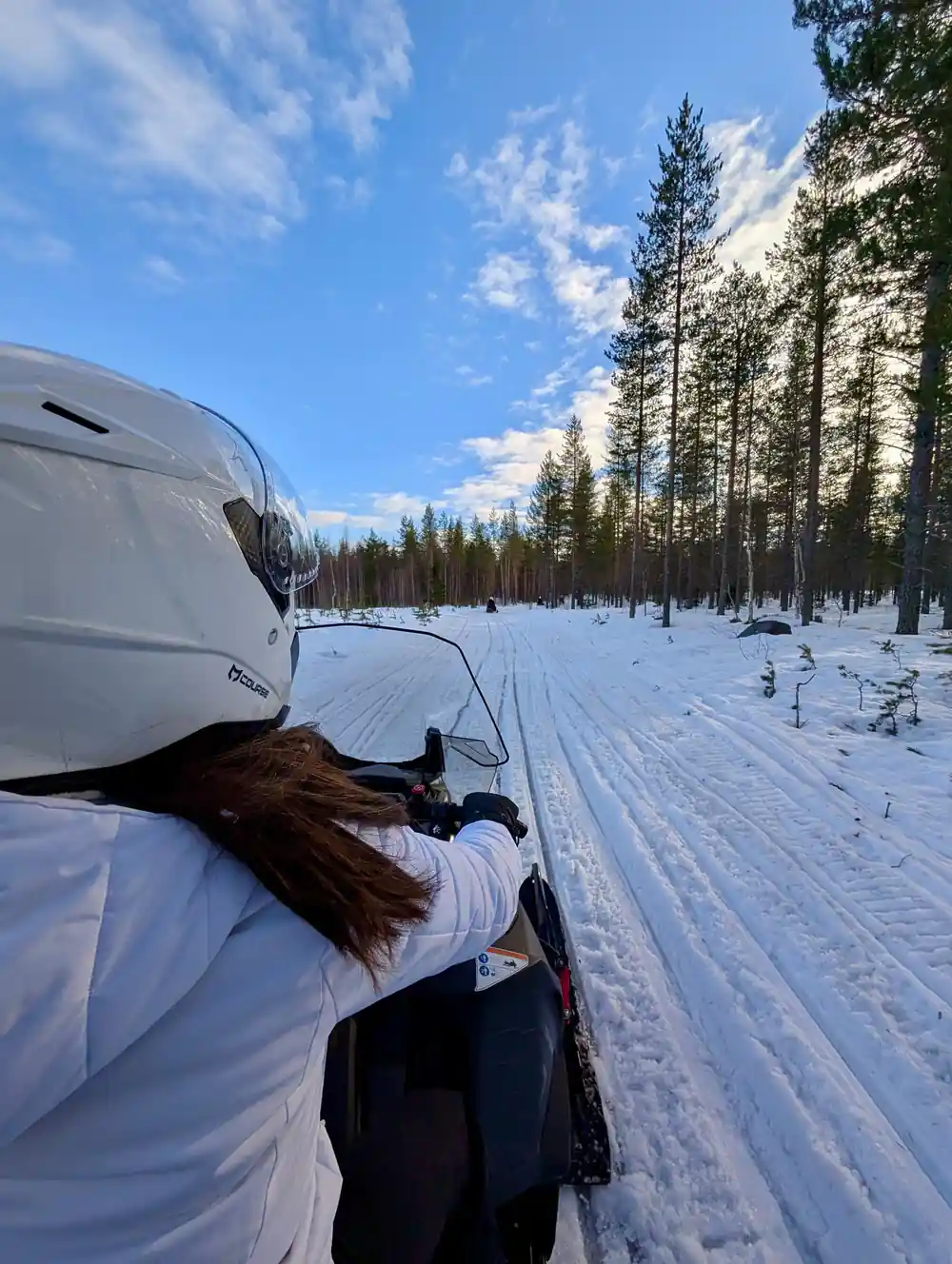 Snowmobile rider's view of snowy landscape with trees
