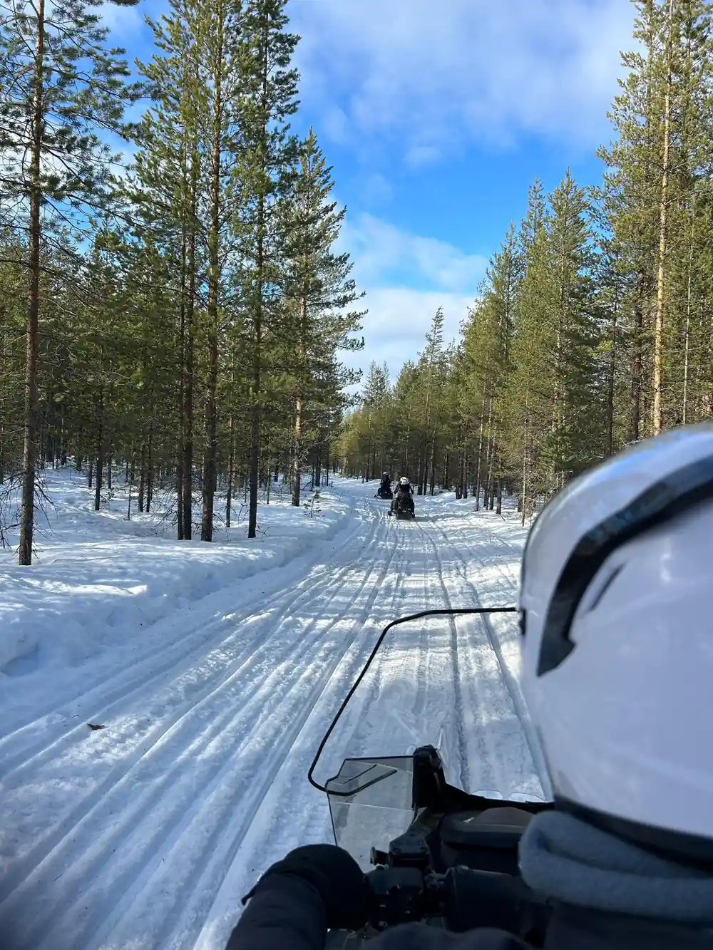 Snowmobile riders on marked trail through winter forest