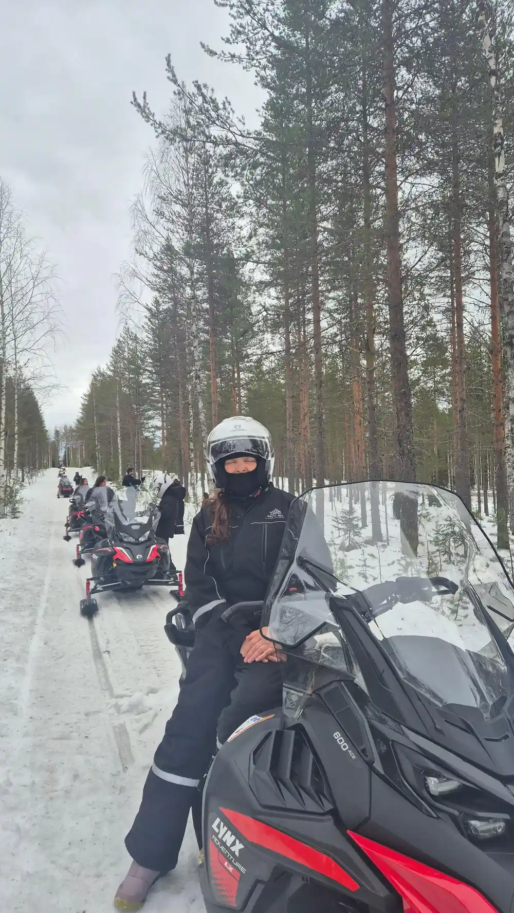 Snowmobile trail through coniferous forest in winter