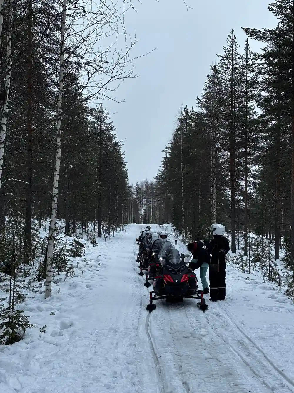 Snowmobile traveling on trail through forest corridor