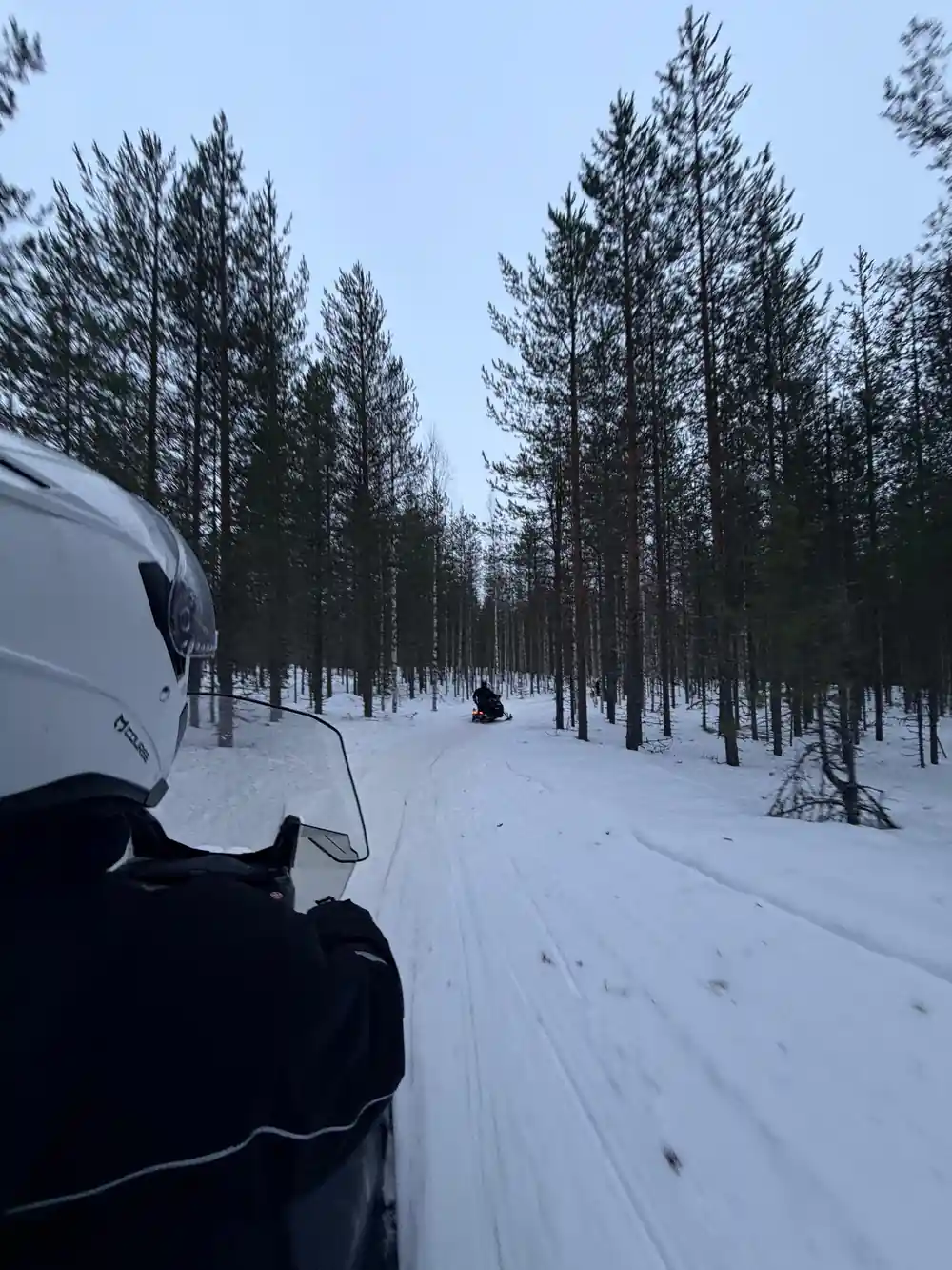 Snowmobile view of snowy forest trail ahead
