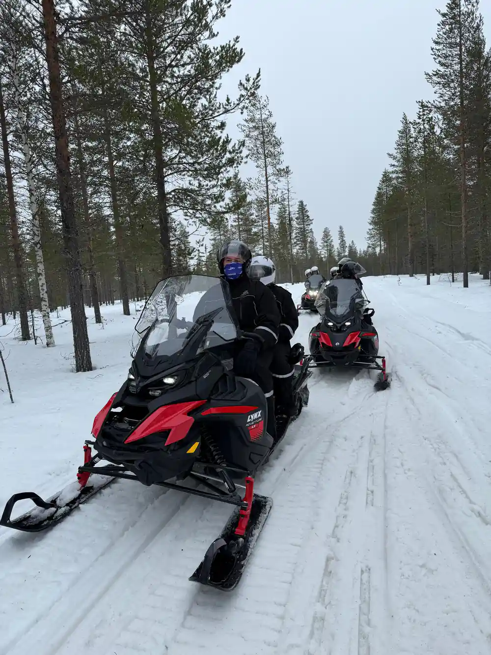 Snowmobiles lined up on snowy forest trail
