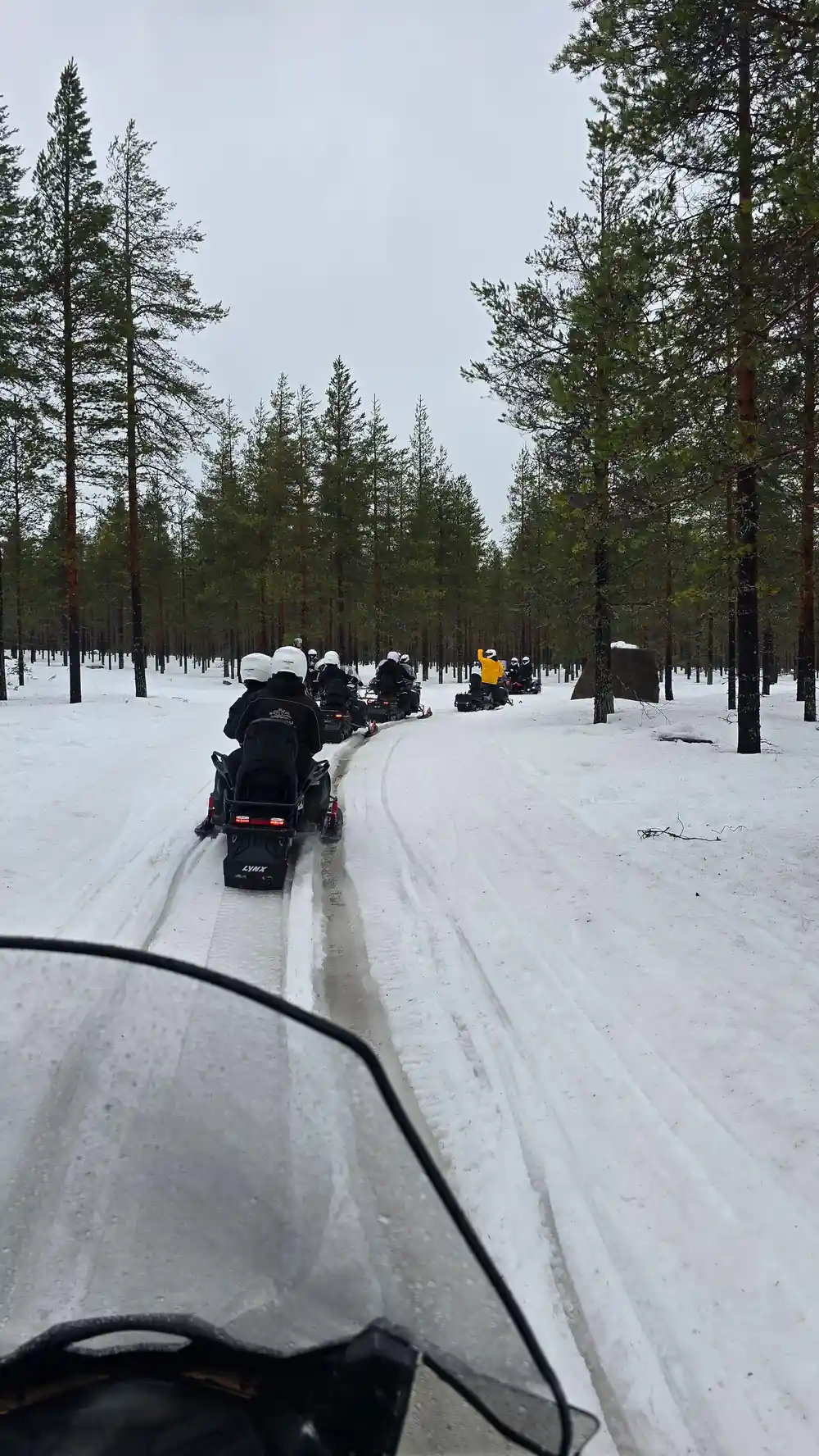 Snowmobiles traveling on groomed trail through forest